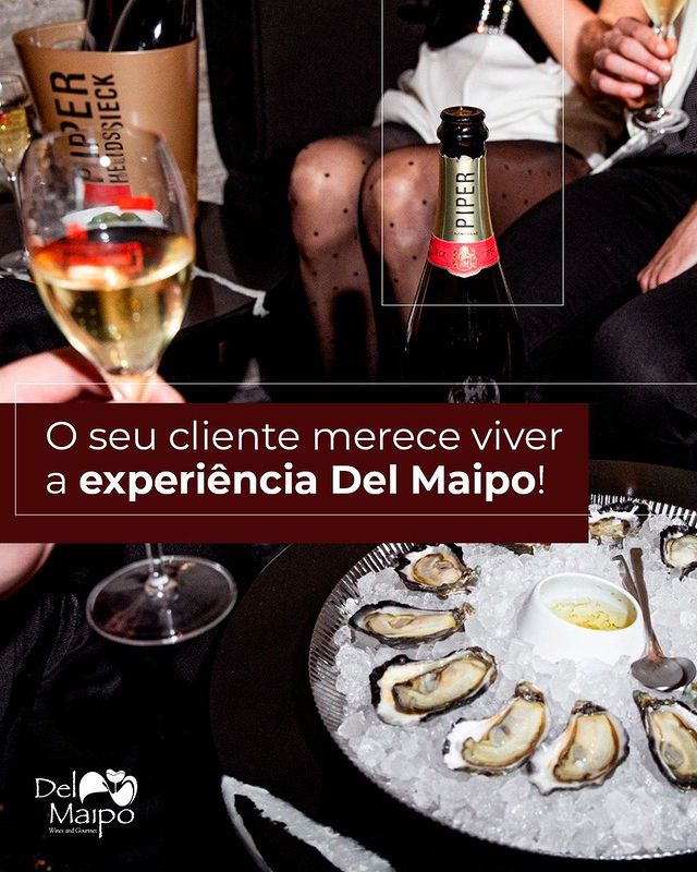 Read more about the article Experiência Del Maipo